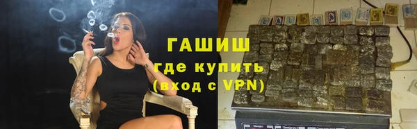 spice Инта