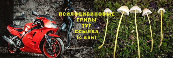 jwh Каменка
