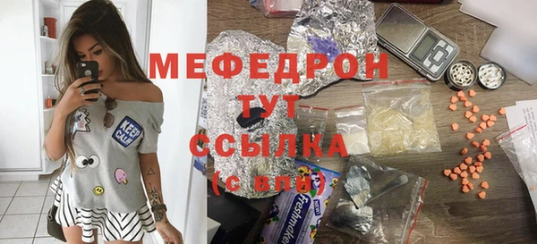 spice Инта