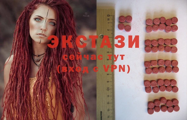 spice Инта