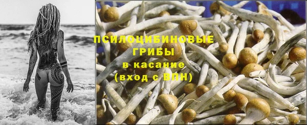 бошки Инсар