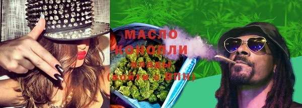spice Инта