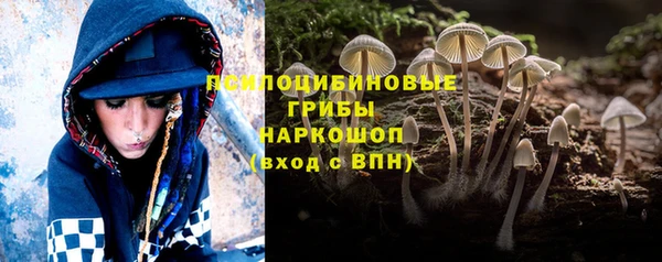 jwh Каменка