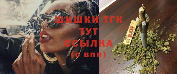 spice Инта