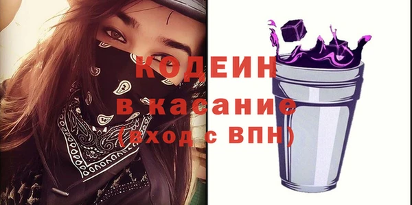 spice Инта