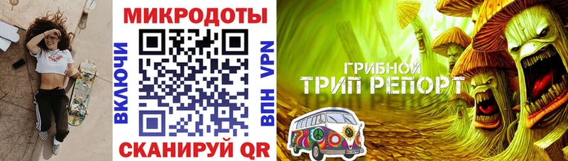 Купить  Дюртюли  Галлюциногенные грибы Psilocybine cubensis 